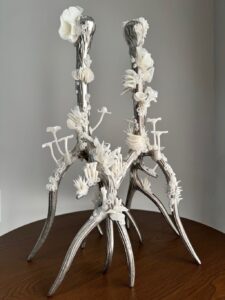 Natures-Prayer-2023-min