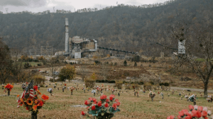 compressed_Tamarack-Personal