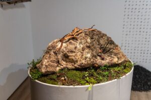 JessieMcClanahan_TendernessIn-Death-