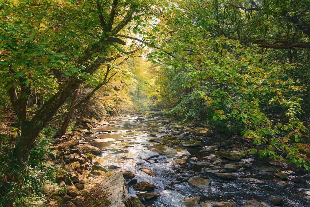 MMYhreTranquilityw-min