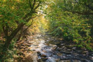 MMYhreTranquilityw-min