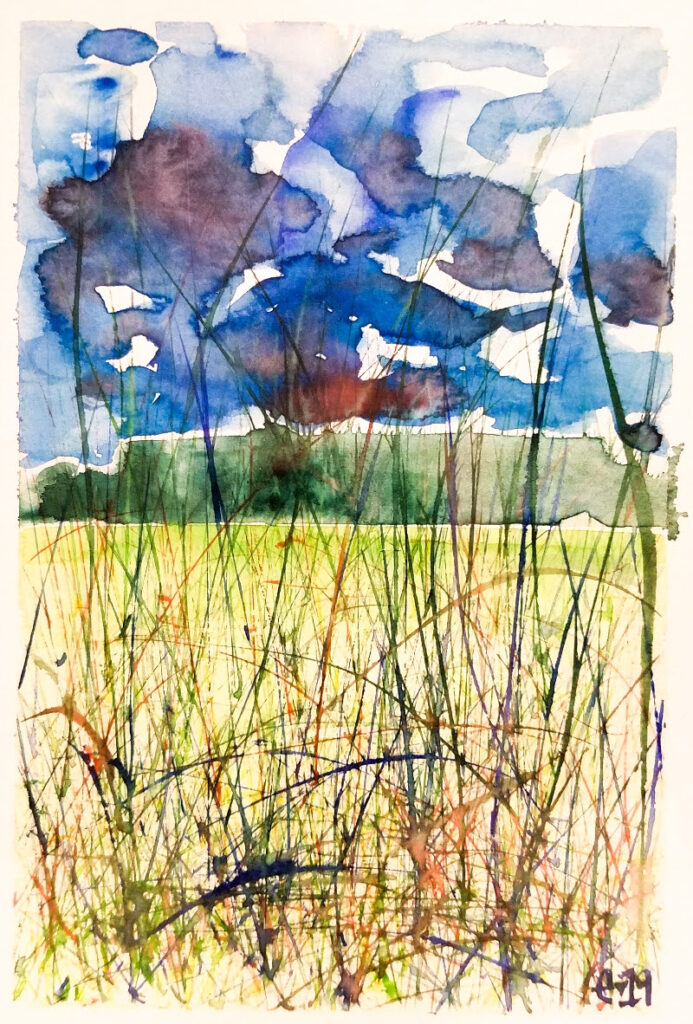 walk-in-tall-grasses-image