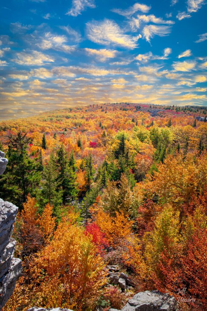 42E23031-AE10-4EE3-9186-29FABE09B186