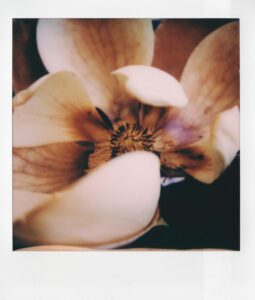 5B15D828-C380-47EE-9C7B-E84F292964FA