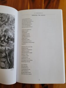 BackBone-Mountain-Review-scaled