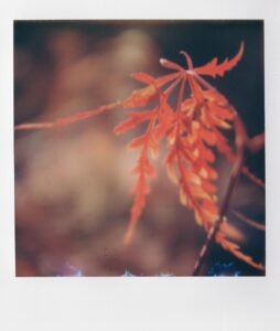 C27AD537-F90F-4747-964E-15F119502AE2