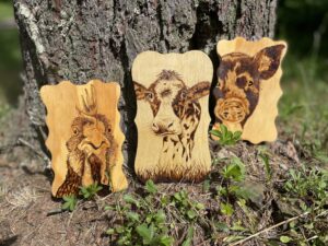 CB71C4A7-D970-4EDD-AC7A-D794E502F457-scaled