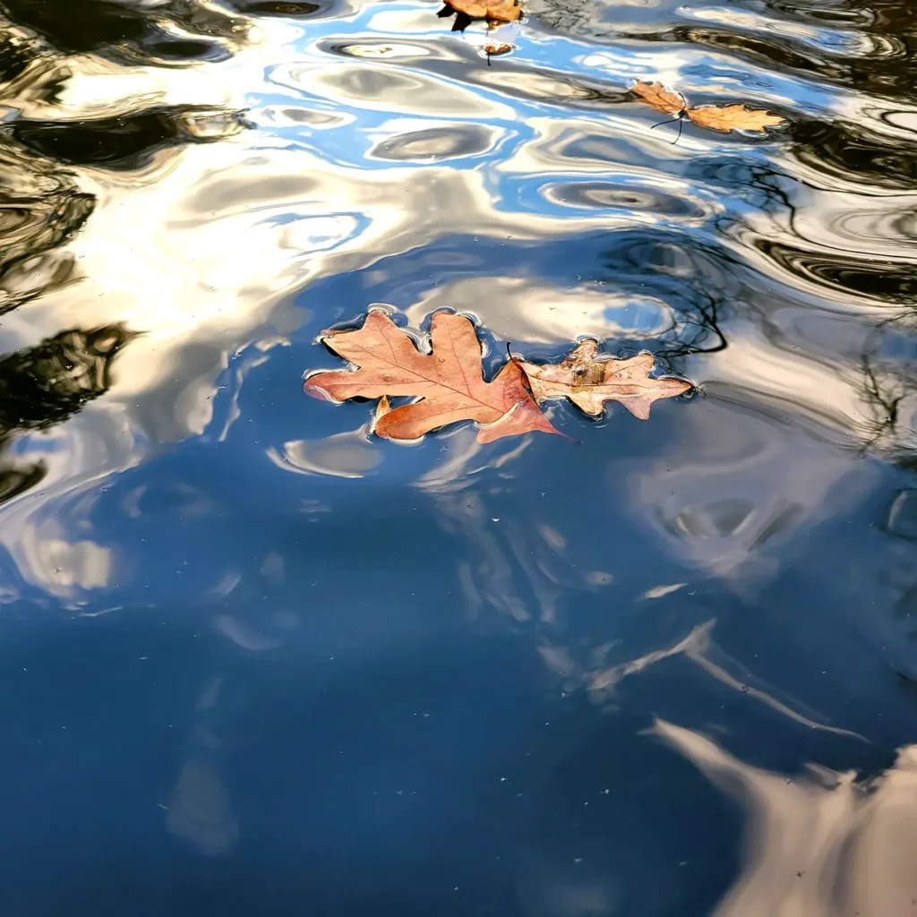 IMG_20211104_175109_837