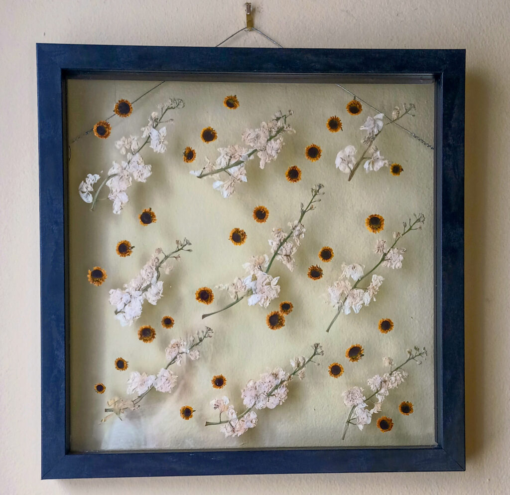 Leigh_DiagonalPressedFlowers