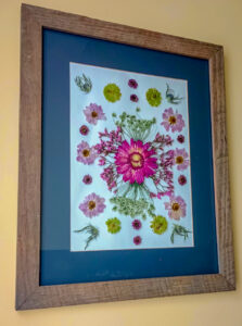 Leigh_PinkGerberPressedFlower_2