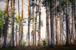 Myhre_The-forest-At-Worlds-Endw-2