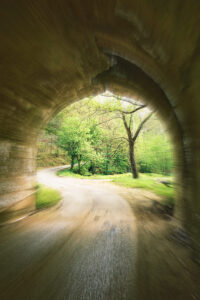 Tunnel-of-Life-Dry-Ck-Rd-Miltonrev-684×1024-1