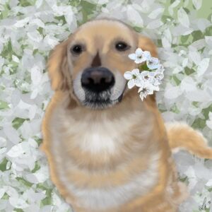 Untitled_Artwork-1024×1024