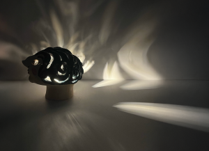 fd541e4ee3e6-Head_Lamp_7