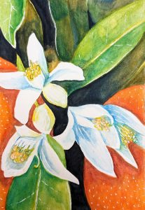 27c82fe8b54b-202311_Orange_Blossoms