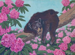 862642cbd043-20250310_RhododendronDreams