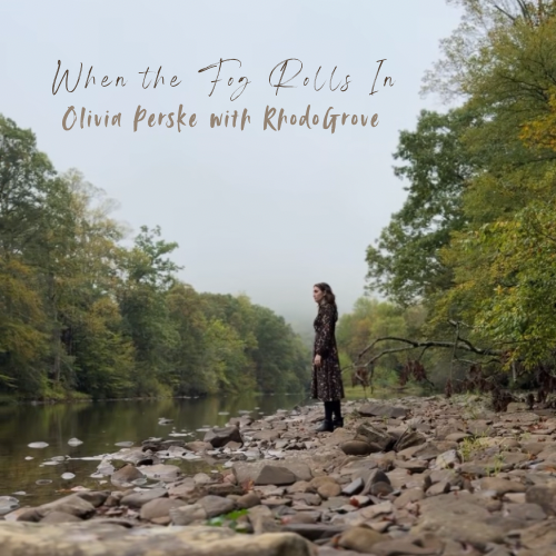 0df5cfe7077b-When_the_Fog_Rolls_In_Cover