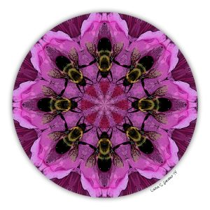Bumblebee Waltz Mandala