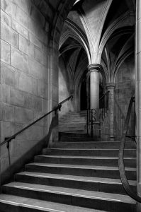 The Way Up