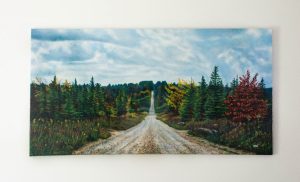dolly_sods_oil_final