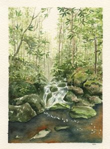ottercreek-1