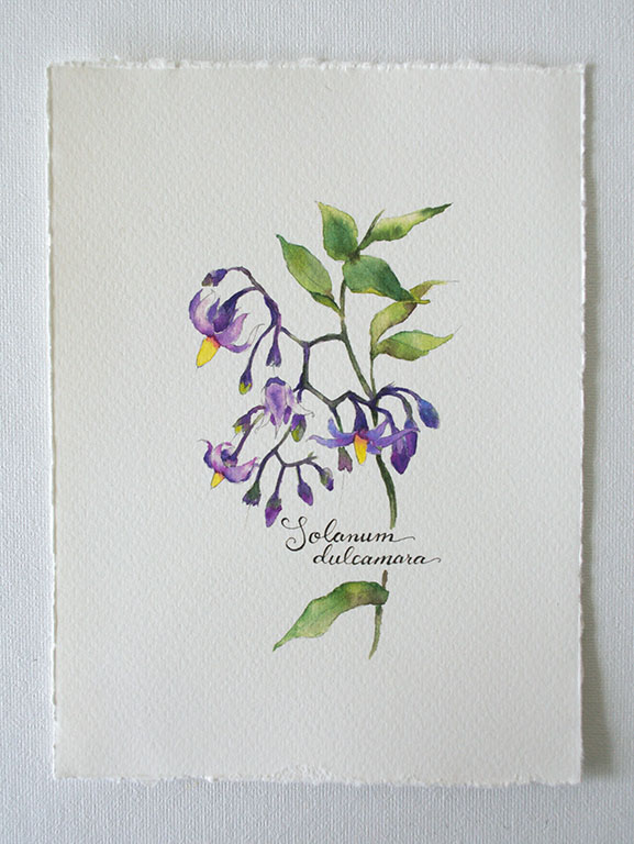 watercolor_product-7