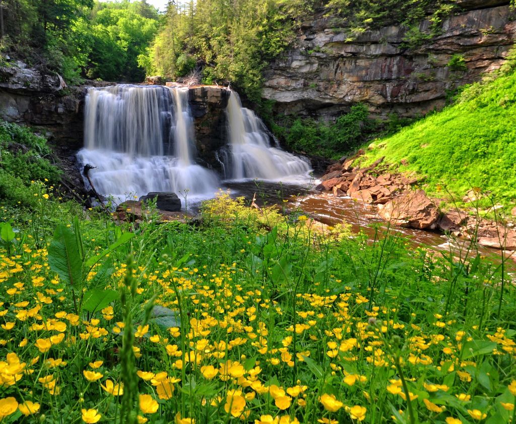 Blackwater-Falls