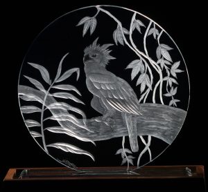 eagle-002