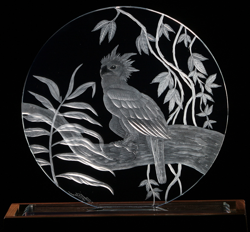 eagle-002